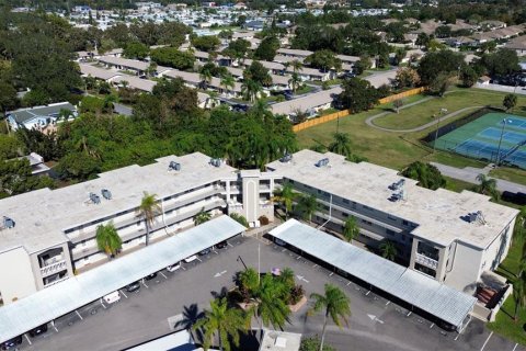 Condo à Dunedin, Floride, 1 chambre  № 2099399