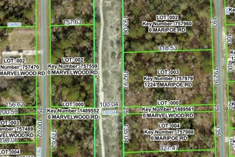Land in Brooksville, Florida № 2159823