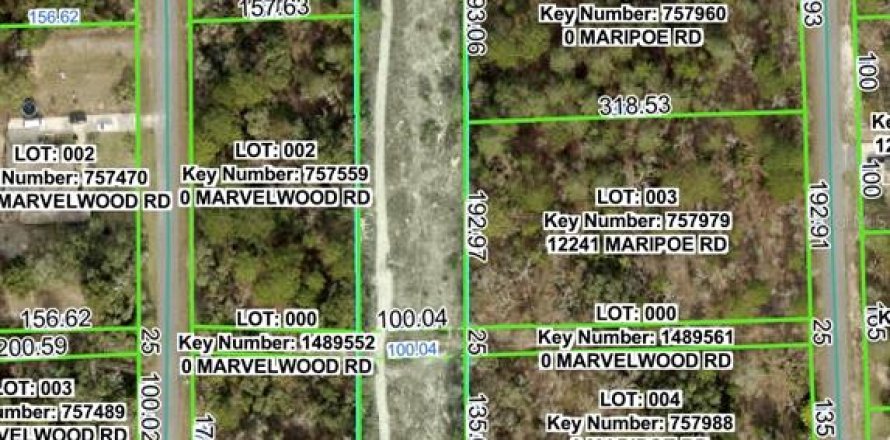 Land in Brooksville, Florida № 2159823