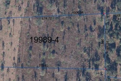 Land in Hawthorne, Florida № 1798419 - photo 1