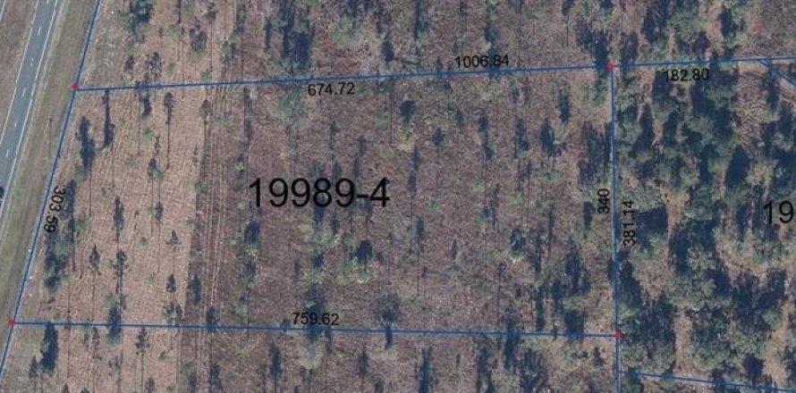 Land in Hawthorne, Florida № 1798419