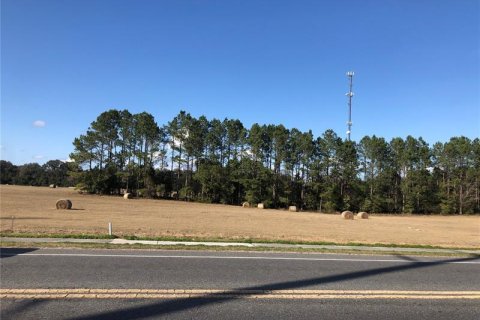 Terreno en venta en Trenton, Florida № 874899 - foto 1