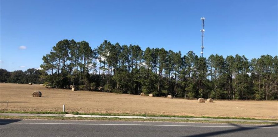 Terreno en Trenton, Florida № 874899