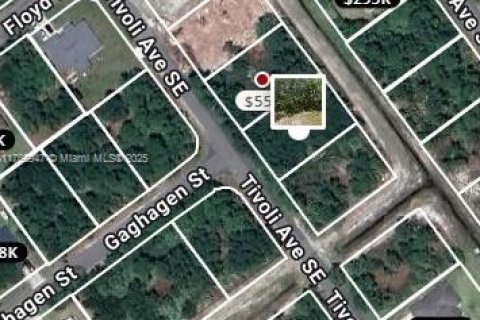 Land in Palm Bay, Florida № 1716099 - photo 5