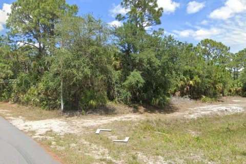 Land in Palm Bay, Florida № 1716099 - photo 3
