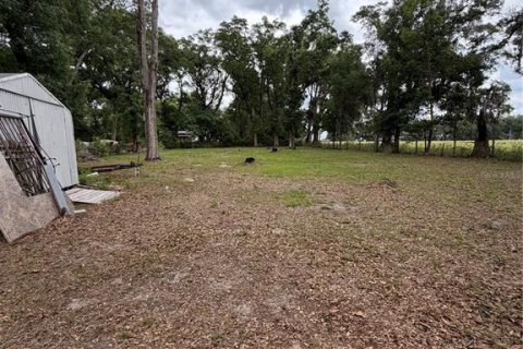 Terreno en Oxford, Florida № 2099152