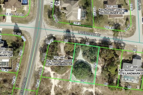 Land in Spring Hill, Florida № 1904168 - photo 1
