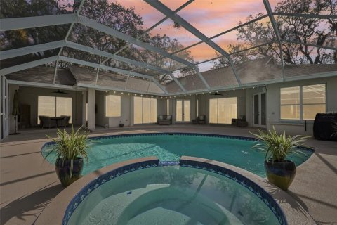 Villa ou maison à vendre à Palm Harbor, Floride: 5 chambres, 347.73 m2 № 1529895 - photo 2