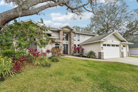 Villa ou maison à vendre à Palm Harbor, Floride: 5 chambres, 347.73 m2 № 1529895 - photo 1