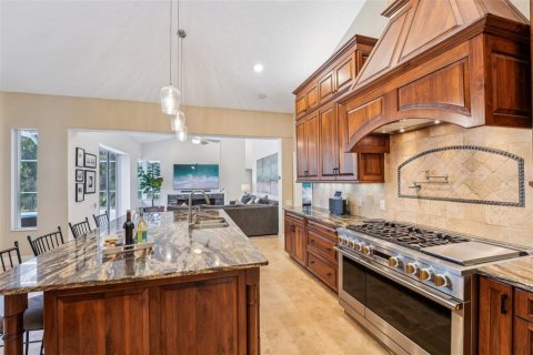 Villa ou maison à vendre à Palm Harbor, Floride: 5 chambres, 347.73 m2 № 1529895 - photo 13