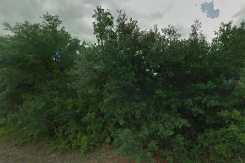 Land in Poinciana, Florida № 212800 - photo 1