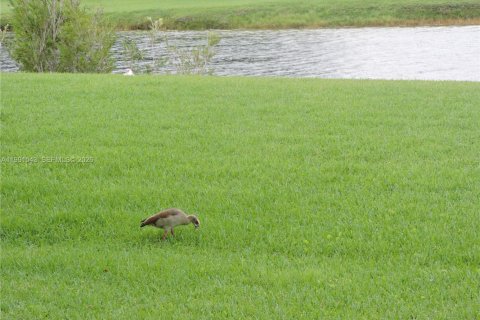 Casa en alquiler en Miami, Florida, 4 dormitorios, 217.39 m2 № 2052270 - foto 11