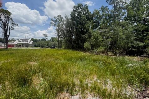 Land in Sebring, Florida № 2159004 - photo 5