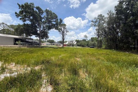 Land in Sebring, Florida № 2159004 - photo 9
