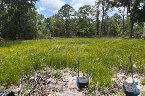 Land in Sebring, Florida № 2159004 - photo 3