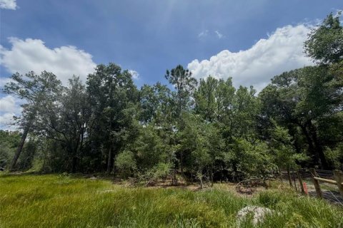 Land in Sebring, Florida № 2159004 - photo 10