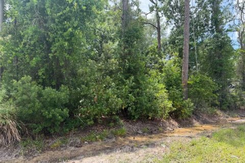 Land in Sebring, Florida № 2159004 - photo 7