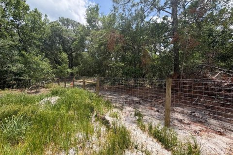Land in Sebring, Florida № 2159004 - photo 11
