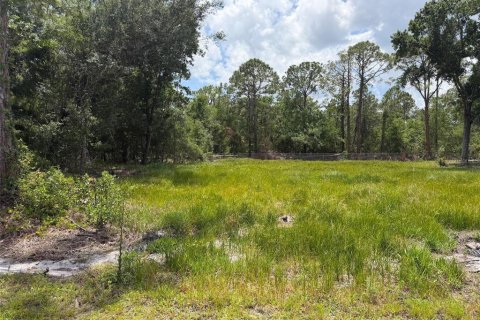 Land in Sebring, Florida № 2159004