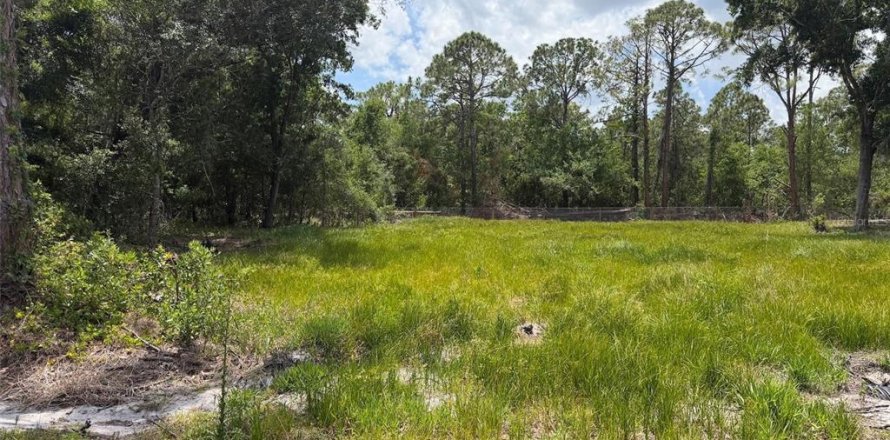 Land in Sebring, Florida № 2159004
