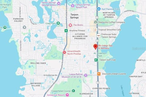 Снять в аренду коммерческую недвижимость в Тарпон-Спрингс, Флорида 167.22м2, № 2212285 - фото 5