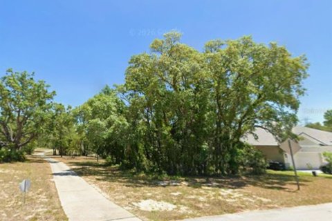 Land in Homosassa, Florida № 2400265 - photo 2