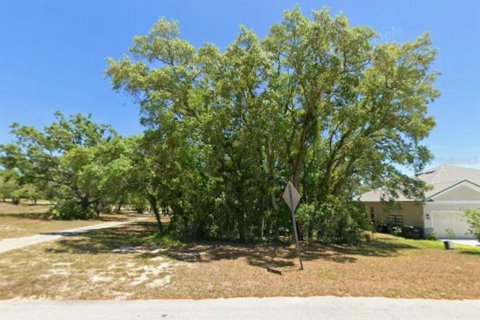 Land in Homosassa, Florida № 2400265 - photo 5