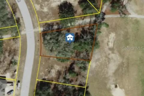Land in Homosassa, Florida № 2400265 - photo 6