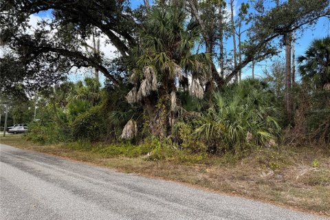 Land in Port Charlotte, Florida № 2160136 - photo 6