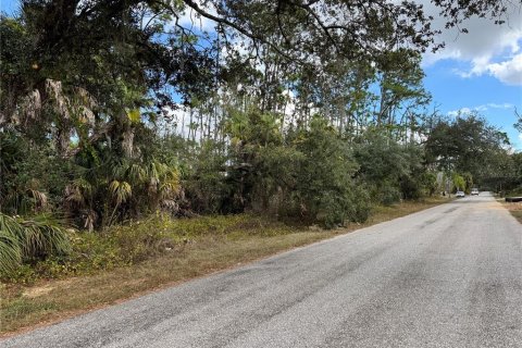 Land in Port Charlotte, Florida № 2160136 - photo 5