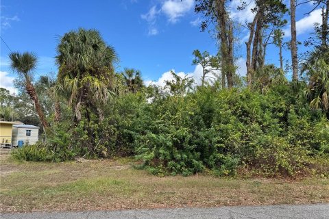 Land in Port Charlotte, Florida № 2160136 - photo 3