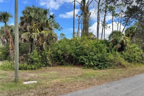 Land in Port Charlotte, Florida № 2160136 - photo 4