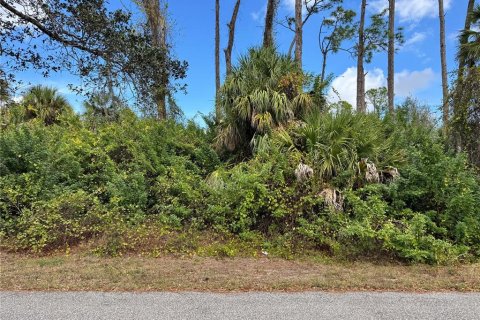 Land in Port Charlotte, Florida № 2160136 - photo 2