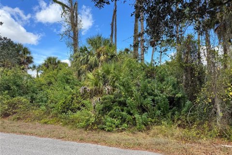 Land in Port Charlotte, Florida № 2160136