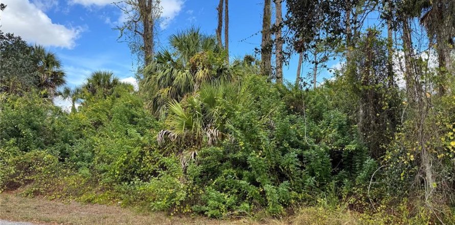 Land in Port Charlotte, Florida № 2160136