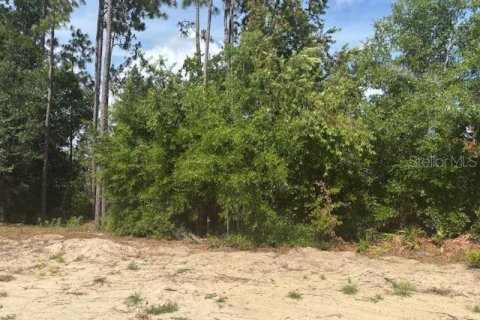 House in Dunnellon, Florida 3 bedrooms, 183.02 sq.m. № 1761528 - photo 12