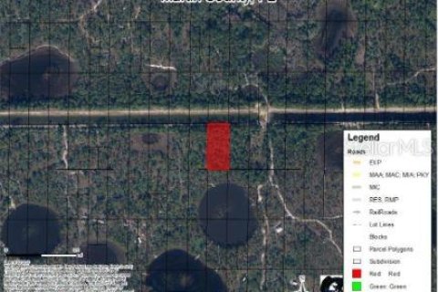 Land in Indiantown, Florida № 1339123 - photo 2
