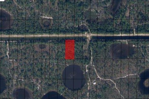 Land in Indiantown, Florida № 1339123 - photo 4