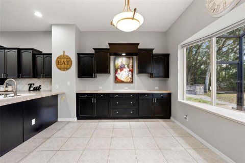 House in Fish Hawk, Florida 3 bedrooms, 264.96 sq.m. № 2420104 - photo 29