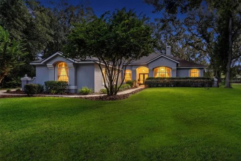 House in Fish Hawk, Florida 3 bedrooms, 264.96 sq.m. № 2420104 - photo 3