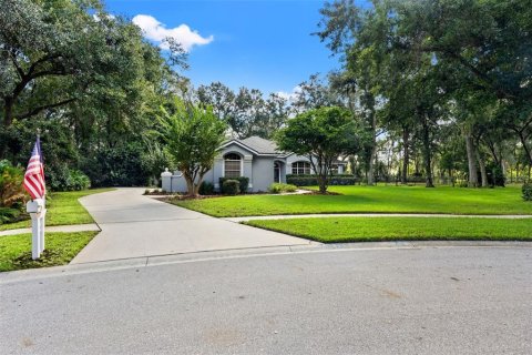 House in Fish Hawk, Florida 3 bedrooms, 264.96 sq.m. № 2420104 - photo 2