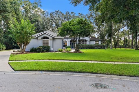 House in Fish Hawk, Florida 3 bedrooms, 264.96 sq.m. № 2420104 - photo 4