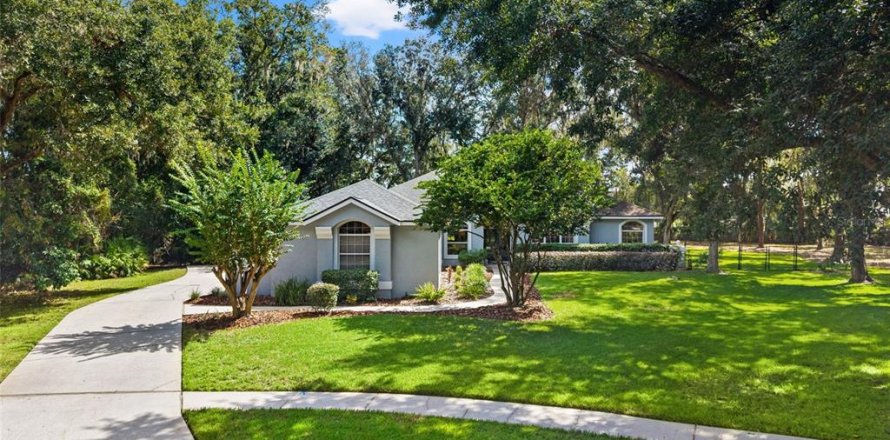 House in Fish Hawk, Florida 3 bedrooms, 264.96 sq.m. № 2420104