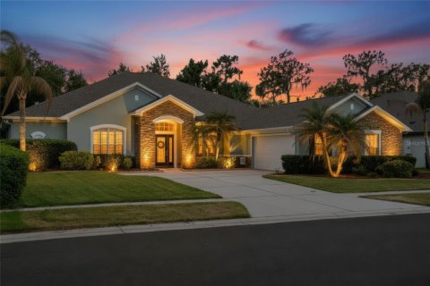 House in Riverview, Florida 4 bedrooms, 349.5 sq.m. № 2151575