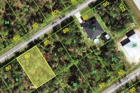Land in Port Charlotte, Florida № 2163835 - photo 2