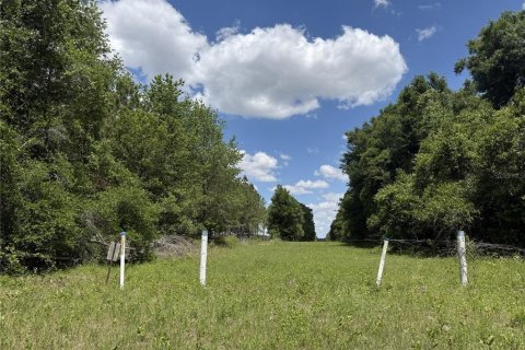 Terrain à vendre à Chiefland, Floride № 2205543 - photo 6