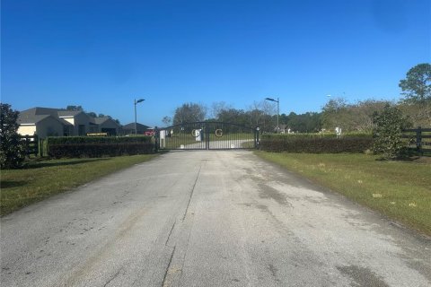 Land in Clermont, Florida № 1433890 - photo 3