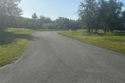Land in Clermont, Florida № 1433890 - photo 4