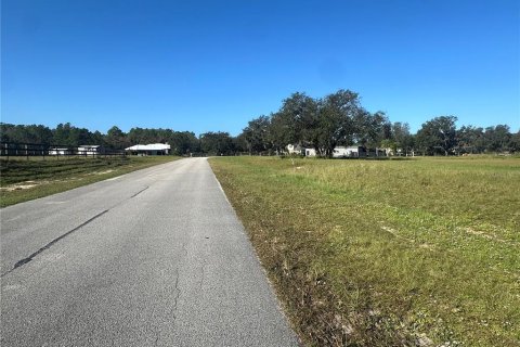Land in Clermont, Florida № 1433890 - photo 12