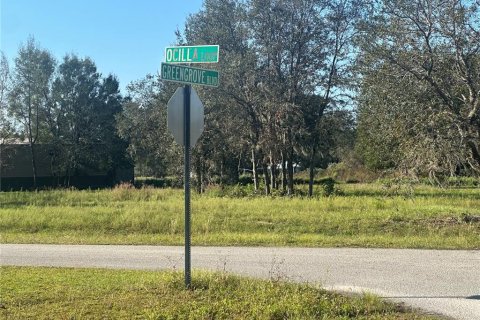 Land in Clermont, Florida № 1433890 - photo 11